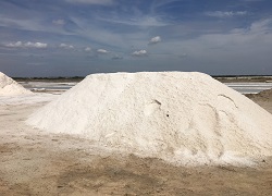 Anjaneya Salts