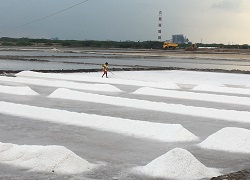 Anjaneya Salts