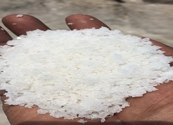 Anjaneya Salts