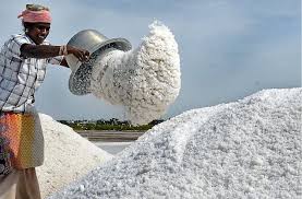Anjaneya Salts